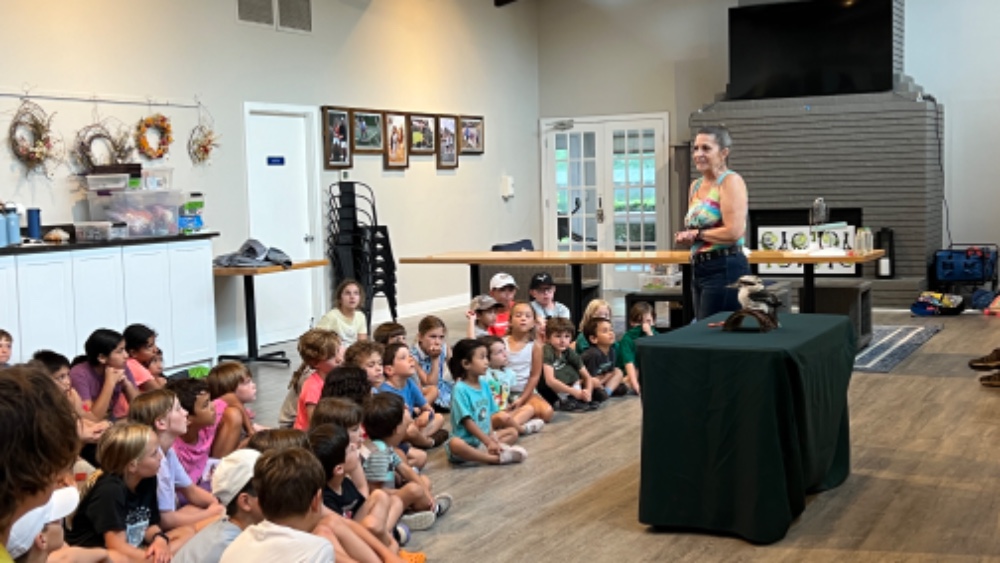 Hollow Rock Racquet & Swim Club Summer Camps | My Kid Camp
